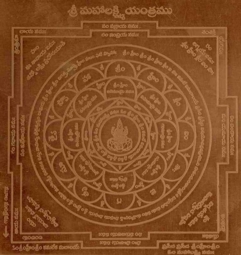 WhatsApp Image 2025-11-14 at 14.23.27_cff9b4cd